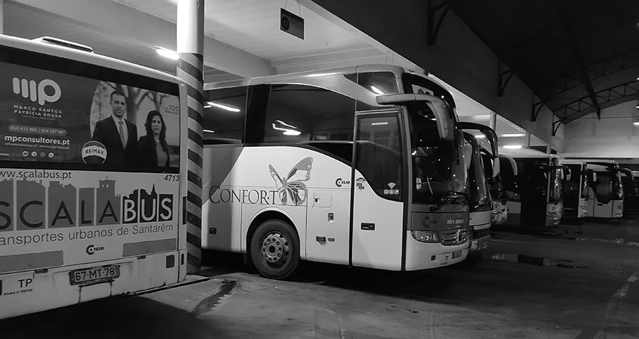 Autocarros da Scalabus decorados, estacionados numa garagem